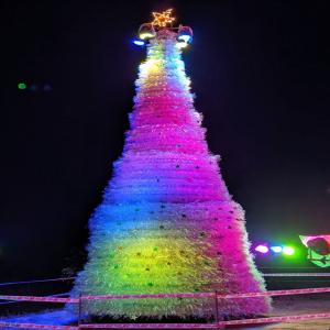 24ft SUP Christmas tree made of 25000 plastic bottles art installation set up by Cochin Port fraternity at CoPT Walkway in Willingdon Island