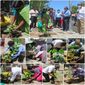 Glimpses from World Environment Day celebration at Cochin Port – Dr. M. Beena IAS, Chairperson was joined by Dr. Cyril C. George, Dy. Chairman , Smt. S Uma Venkatesan IRS, CVO & heads of departments in planting of tree saplings at different locations of Cochin Port
