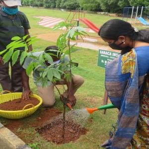 World Environment Day – 2022 Celebrated 